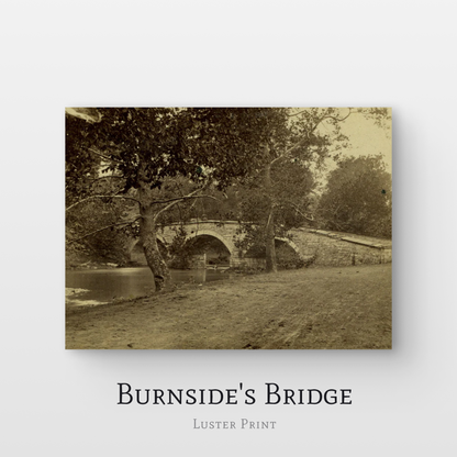 Burnside's Bridge Luster Print